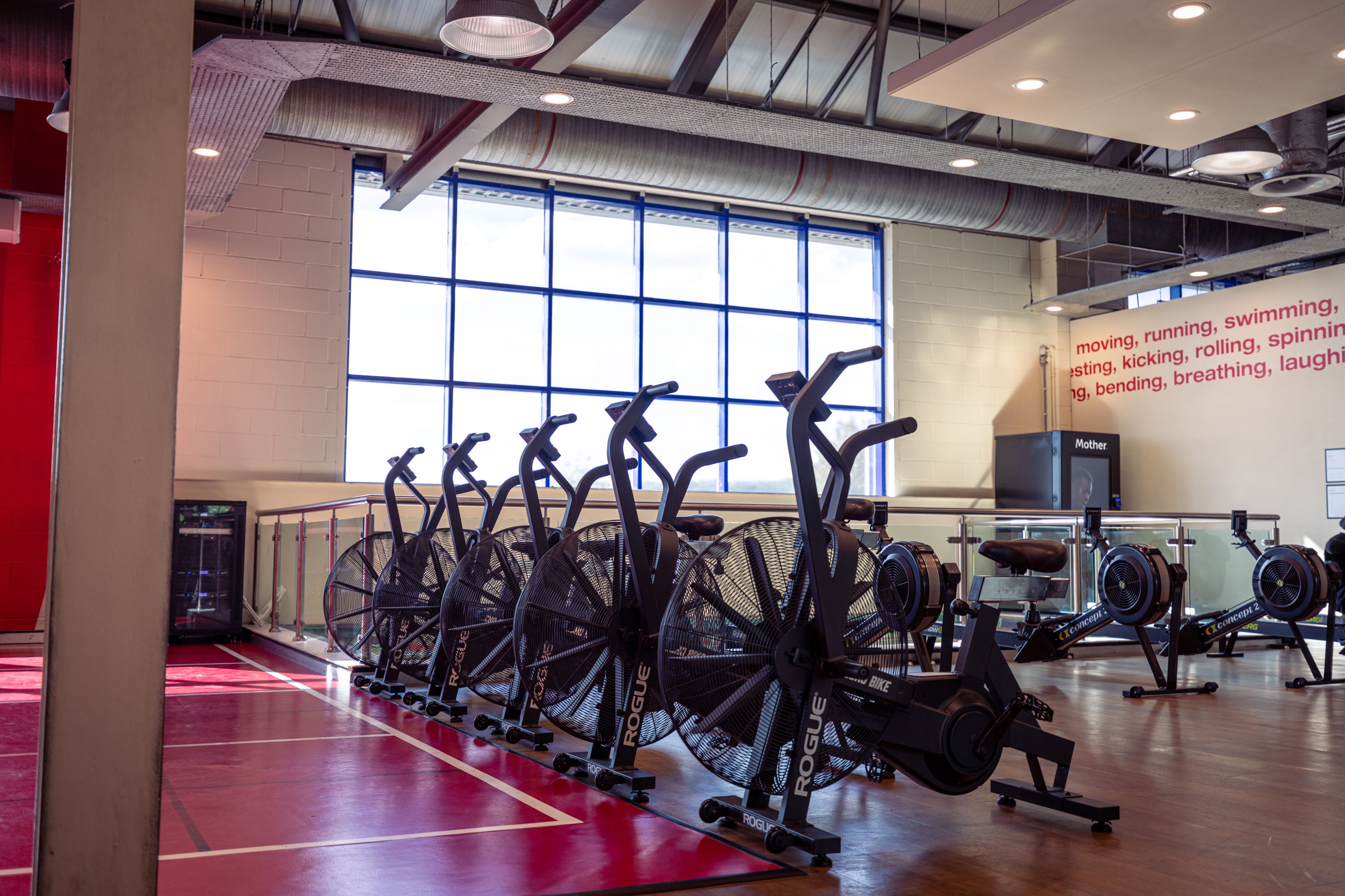 Thundersley Strength and Conditioning floor