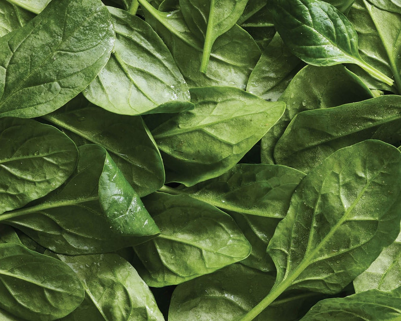 Whole clean ingredients